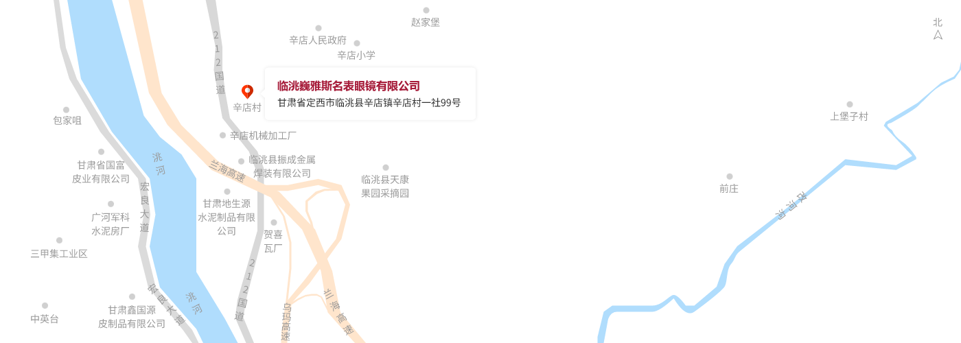 甘肅省定西市臨洮縣辛店(diàn)鎮辛店(diàn)村一社99号