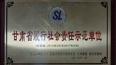 甘肅省履行(xíng)社會(huì)責任示範單位