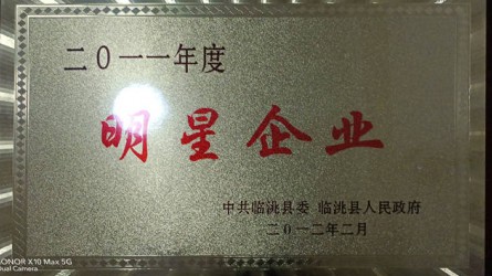 2011年度明(míng)星企業