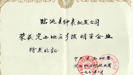 鄉鎮明(míng)星企業