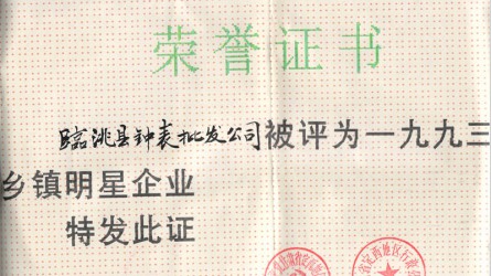 1993年度鄉鎮明(míng)星企業