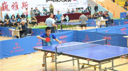  2017年中國乒乓球協會(huì)會(huì)員積分賽暨第十七屆臨洮縣“巍雅斯”杯乒乓球大(dà)獎賽圓滿落幕