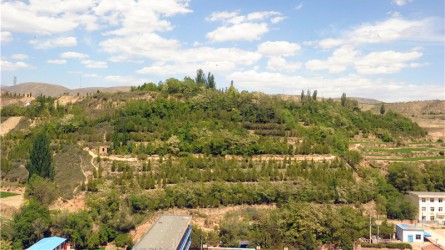 綠化荒山(shān)植樹(shù)造林