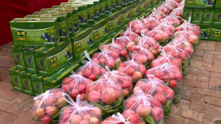 開(kāi)展“愛(ài)心認領”消費扶貧活動