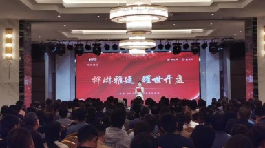  2020年8月22日桦琳雅廷盛大(dà)開(kāi)盤