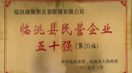  臨洮公司入列2023年度臨洮縣民營企業50強及行(xíng)業10強榜單